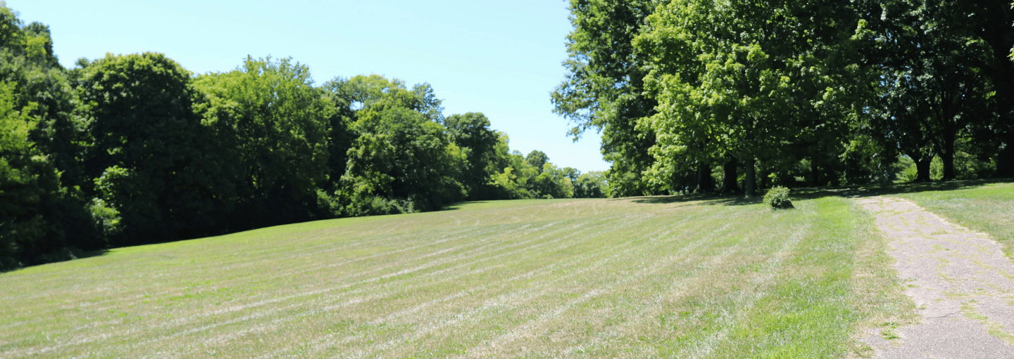 Uphill view of cart path at Amberley Green