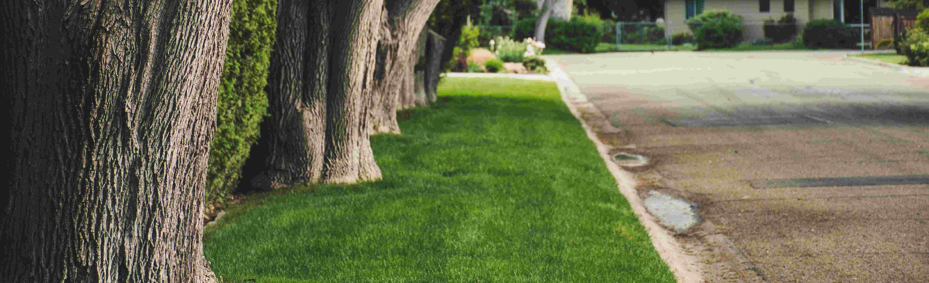 Stock image of curb near street, which is typically where the public right of way is situated
